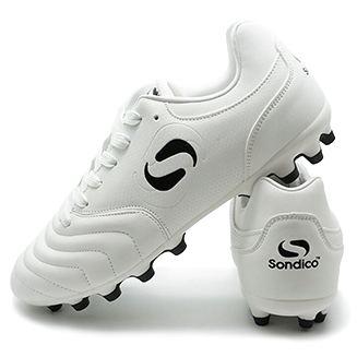 ソンディコ［固定］